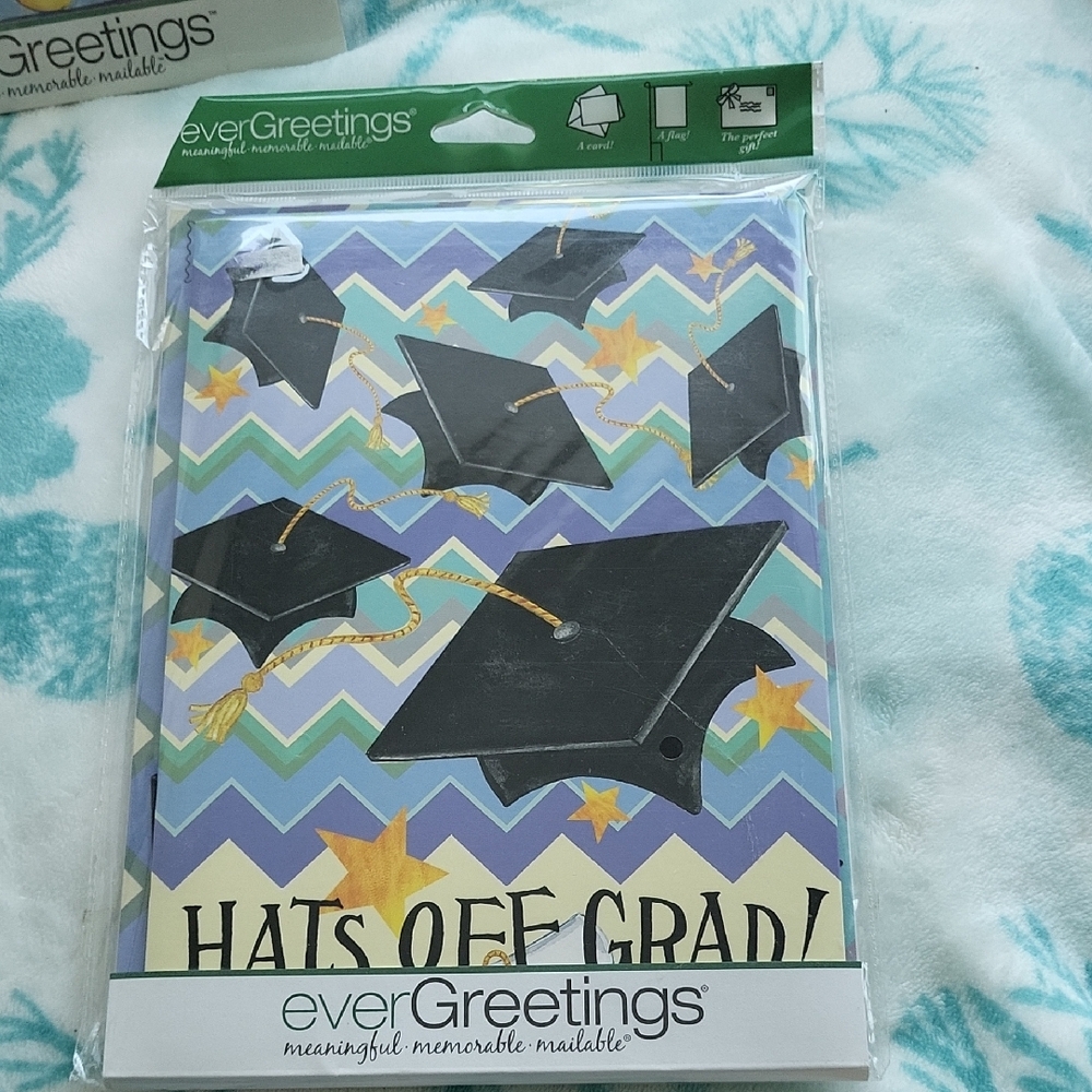 Ever Greetings Celebration Cards Set - Picture 2 of 7
